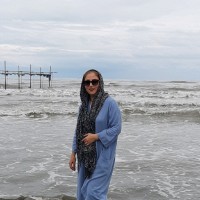 Narges Sadeghi