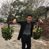 杨文康