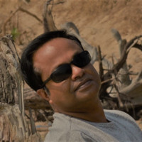 Anindya Pal