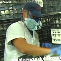 Juan Carlos Calvo Herrera