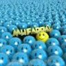 Mufaddal Rasheed
