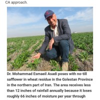 M. E. Asadi