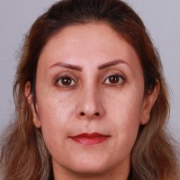 Afsaneh Talebi