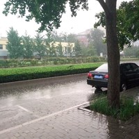 马冬梅