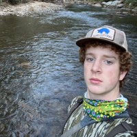 Will Shealy