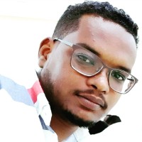 anas malik