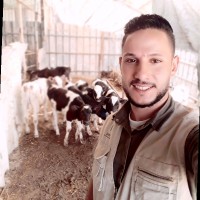 bashar shurrab
