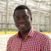 Olumide Alabi