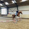babette van loon