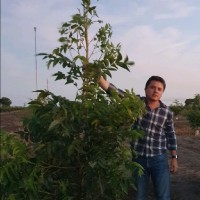 Gerardo Ramos Cambuston