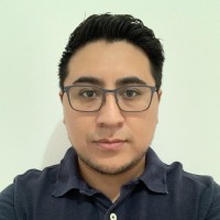 Julio Cesar Torres Licona