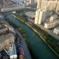 兰海林