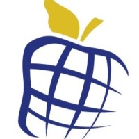 Vice President Newt Global