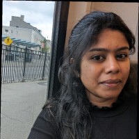 KRISHNA PATHRAKADAVIL VIDYADHARAN