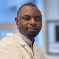 Yemi A. Ayankunle