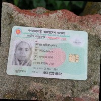 Mst Jarina Begum