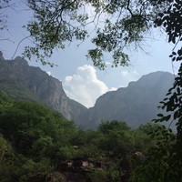 余贝贝