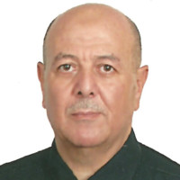 Essam Hamid