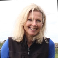 Lydia Kallender - Tarttelin