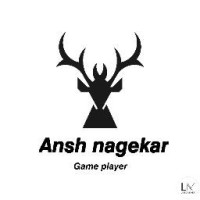 Ansh Nagekar