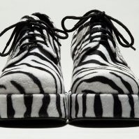 duby osher zebra studio