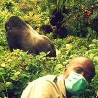 Balemba Balagizi, MBA