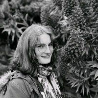 Monika Sienkiewicz