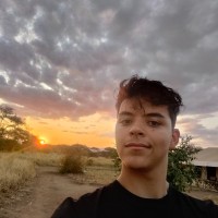 Dennis van der Zanden