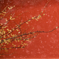 Sheng Liu