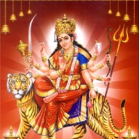 Mohan Manyam