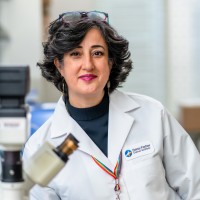 Navid Madani, PhD