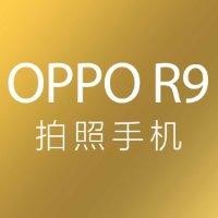 王明全