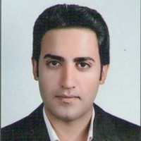saeed fayez