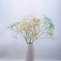 Wen Li