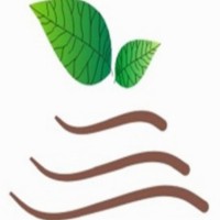 NORTEAK_NICARAGUA_S,A Productores de Madera