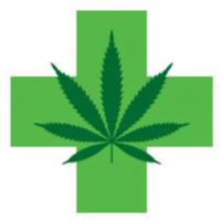 Greener Leaf