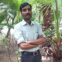 vivek singh