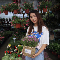 陈南希
