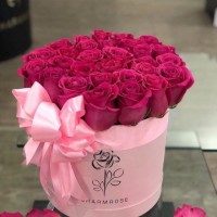 طباشي مينا