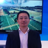 张红兵