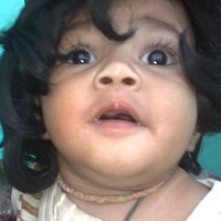 Vikram Shekhawat