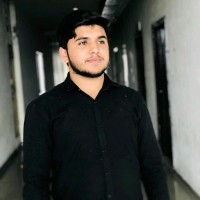 Ameer Hamza