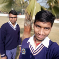 Vipin Sharma