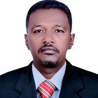Ayman Hassan Ali Mohammed
