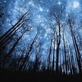 Leonardo Ramirez