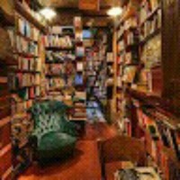 Raul Alexandre Alexandre