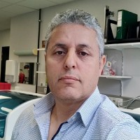 Ahmed El Mimouni