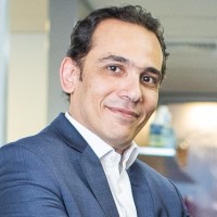 walid shehata