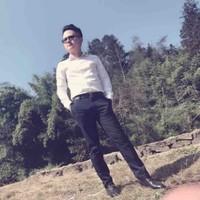 顾少龙