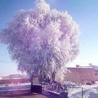 朱孔伟